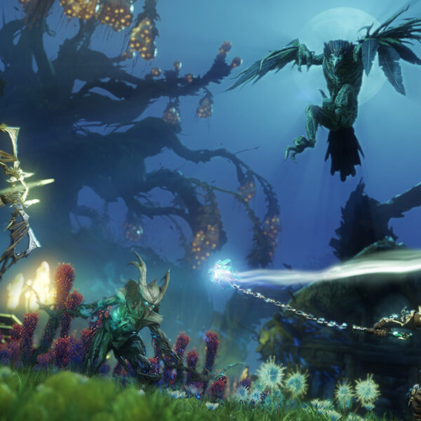 Купить New World Rise of the Angry Earth ключ
